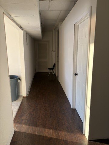 Picture 29