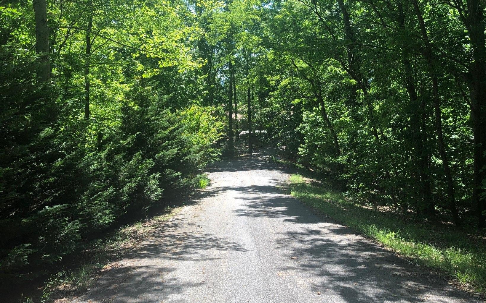 Blairsville Vacant Lot Opportunity