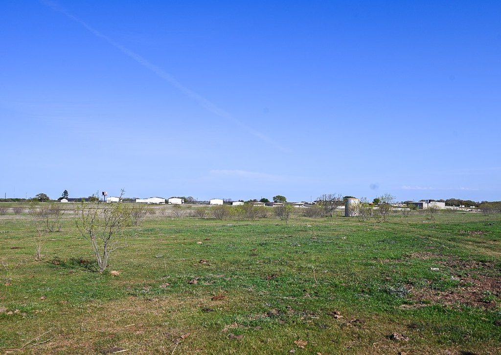Picture 19