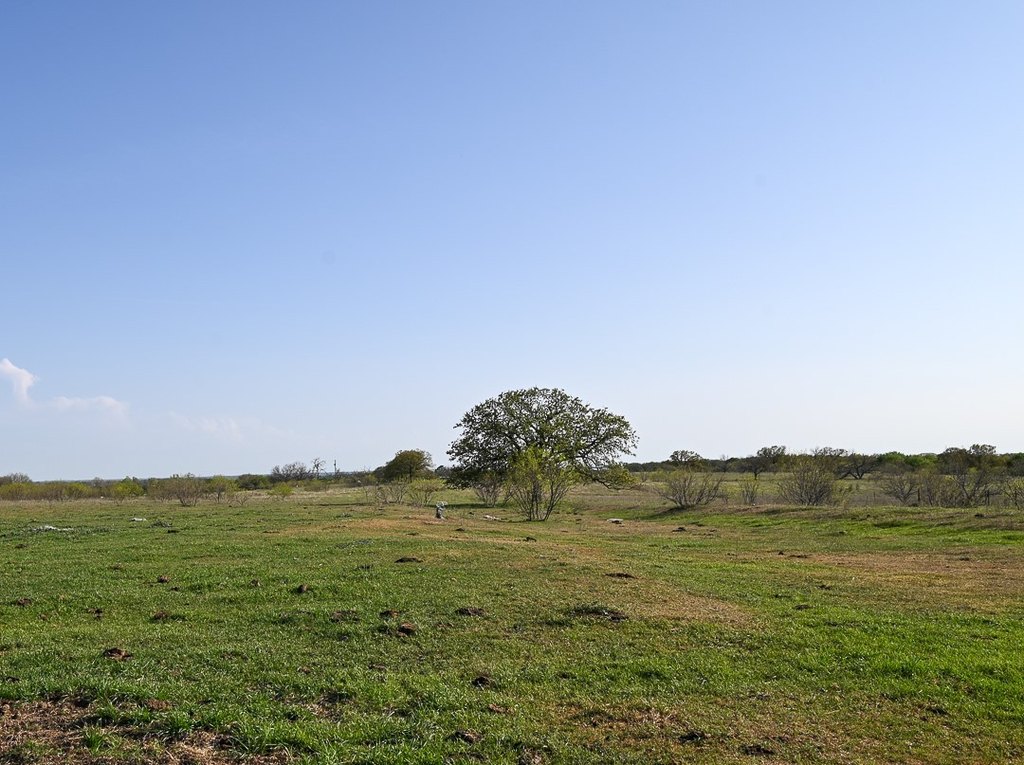 Picture 20