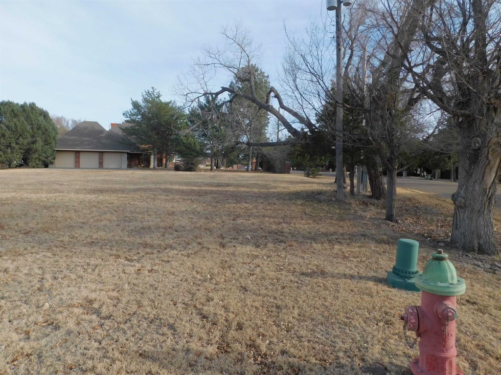 Picture 4