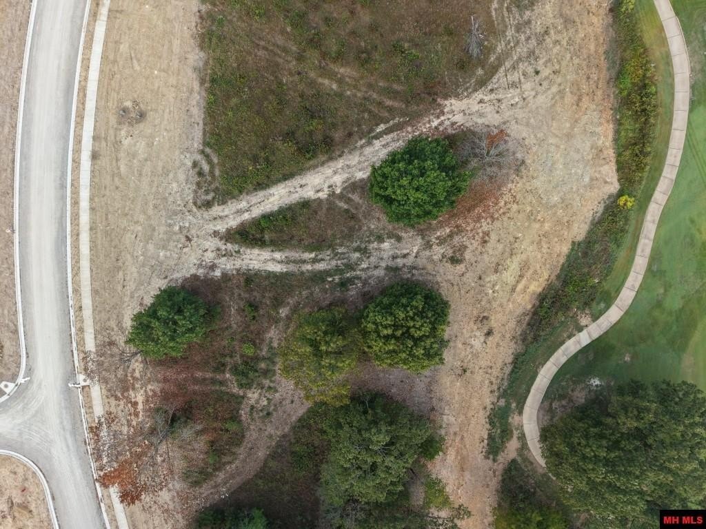 Picture 13