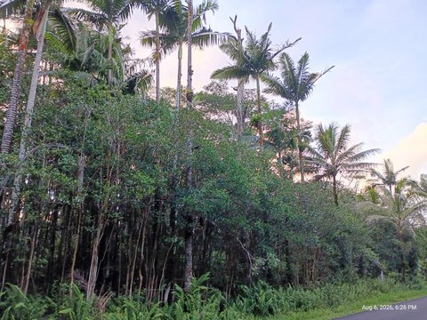 LAND - Pahoa, HI