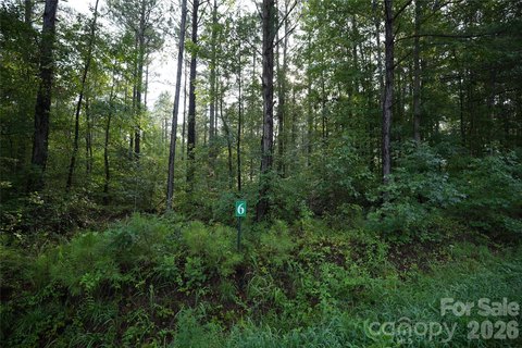 Land in Peter Hawk Creek