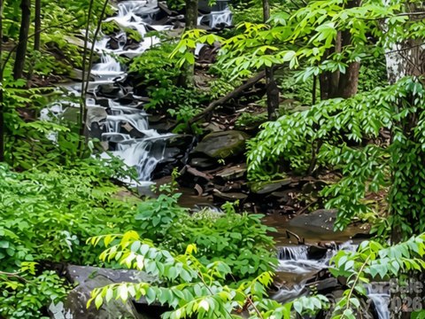 Unrestricted Mountain Land with Creek