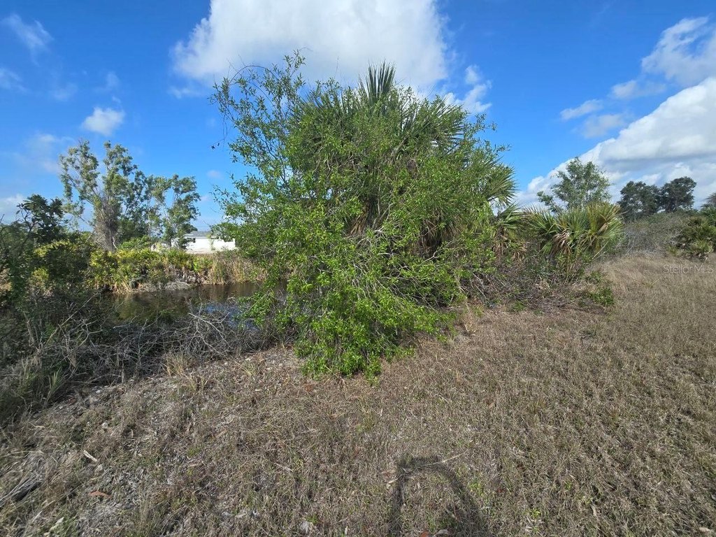 Picture 15