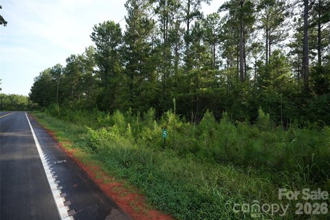 Residential Land in Jonesville, SC
