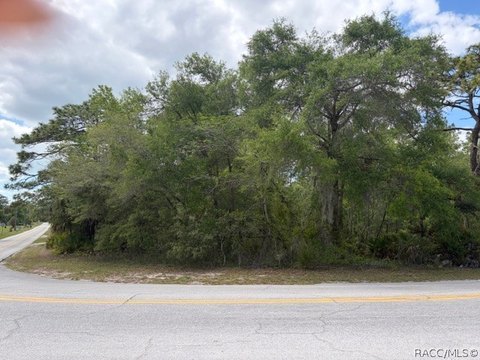 9.28 Acres in Crystal River