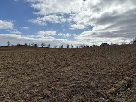 Rolling Acreage in Manchester, MI