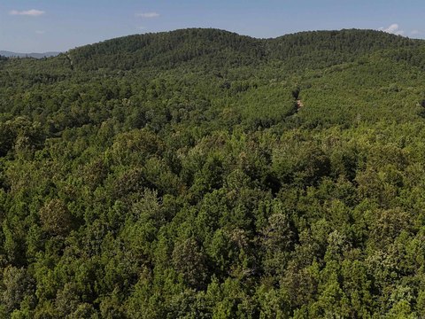 Mena, AR Acreage for Sale