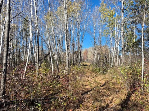 Land, Finlayson, MN