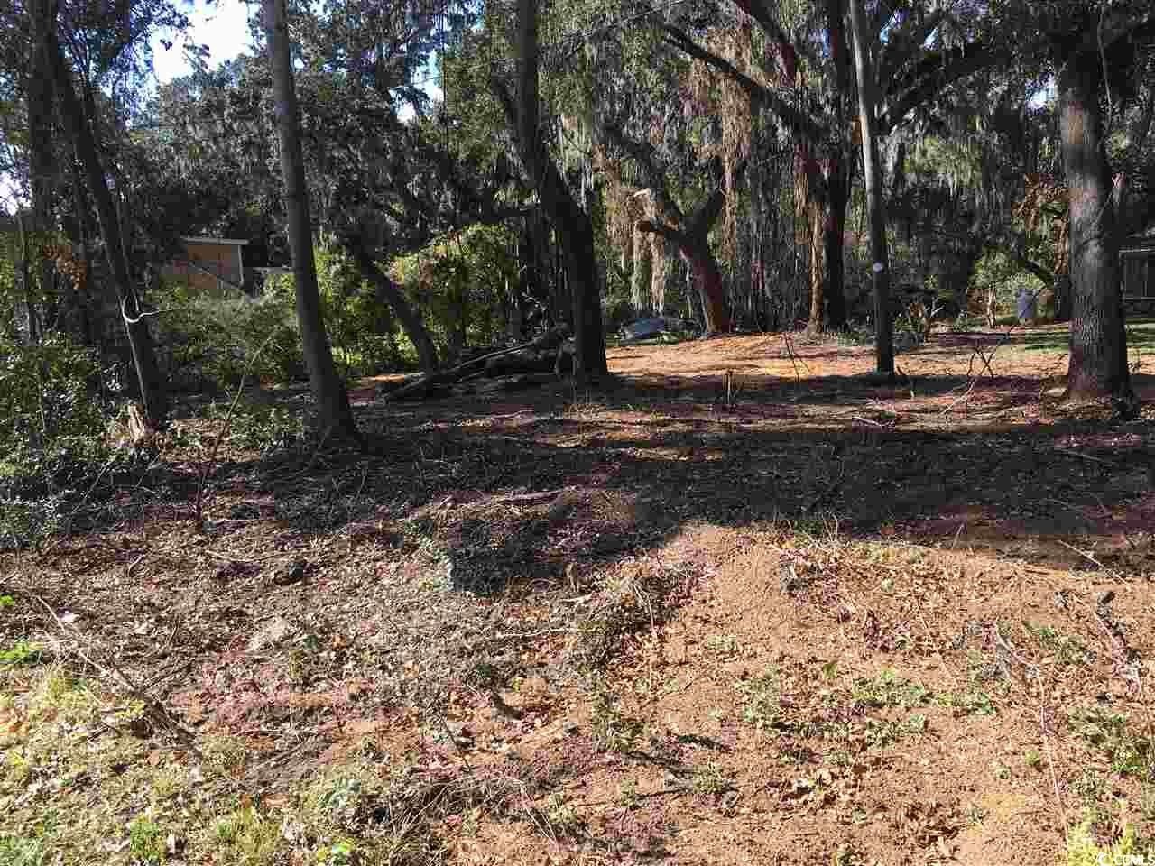 Pawleys Island Commercial Land