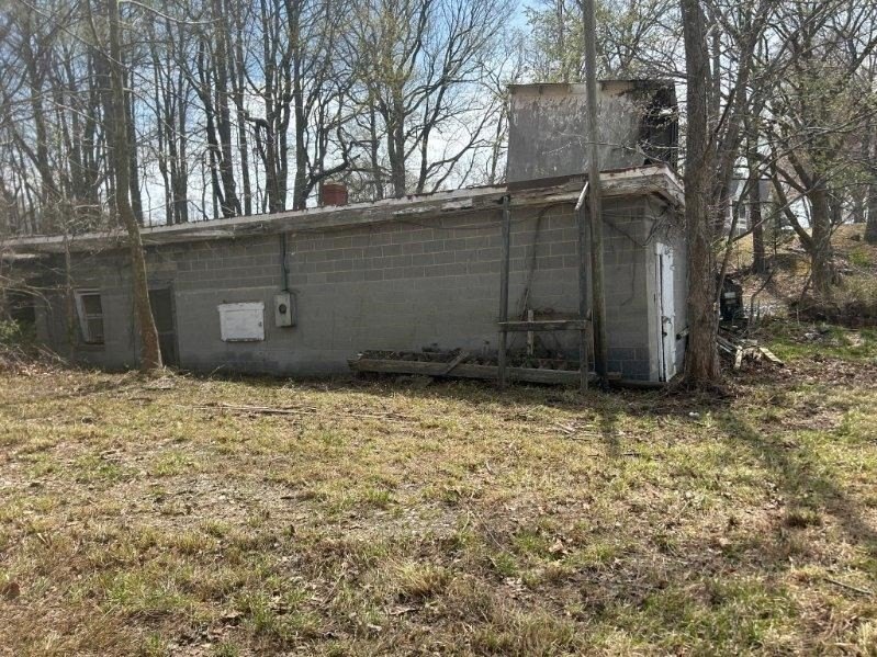 Picture 4