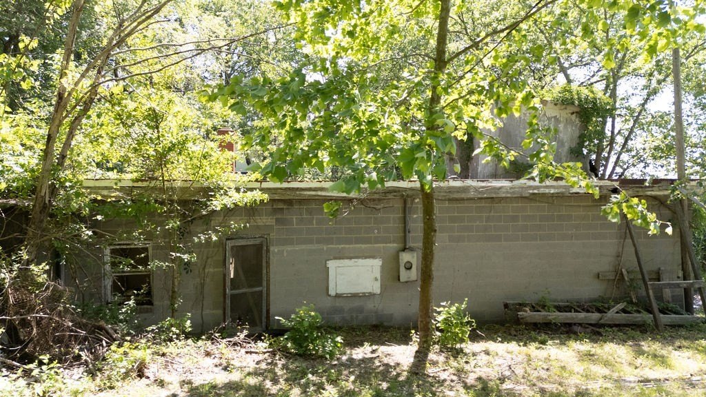 Picture 17