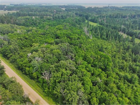 Park Rapids Hunting Land Opportunity