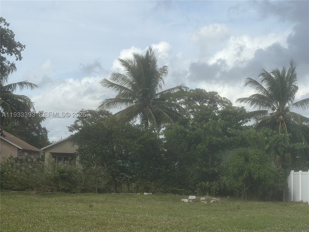Picture 4