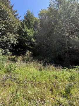 Residential Lot in Whitethorn, CA