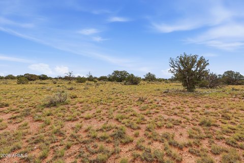 Land, Williams, AZ