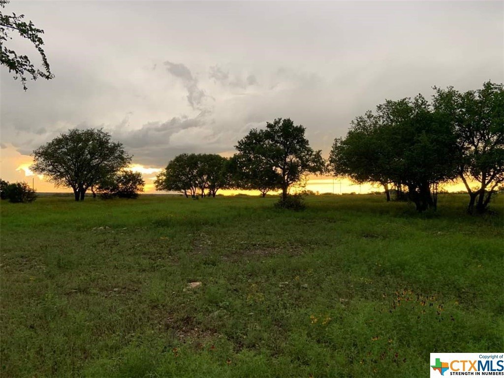 Land in Wildlife Preservation Community