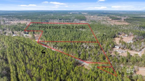 Heavily Wooded Land Parcel