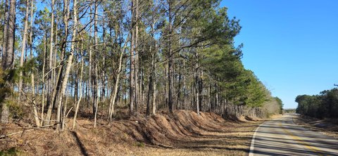 Land Near Clarks Hill Lake
