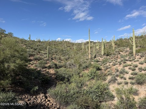 Land, Tucson, AZ