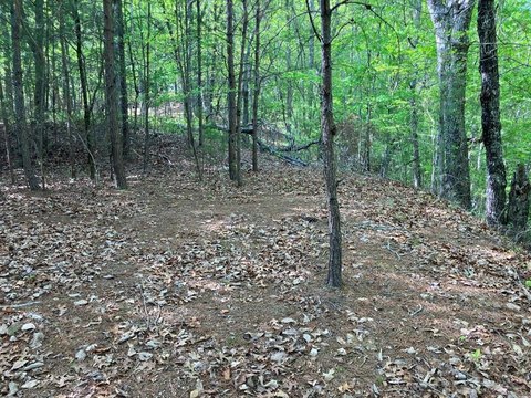 Hayesville, NC Mountain Land