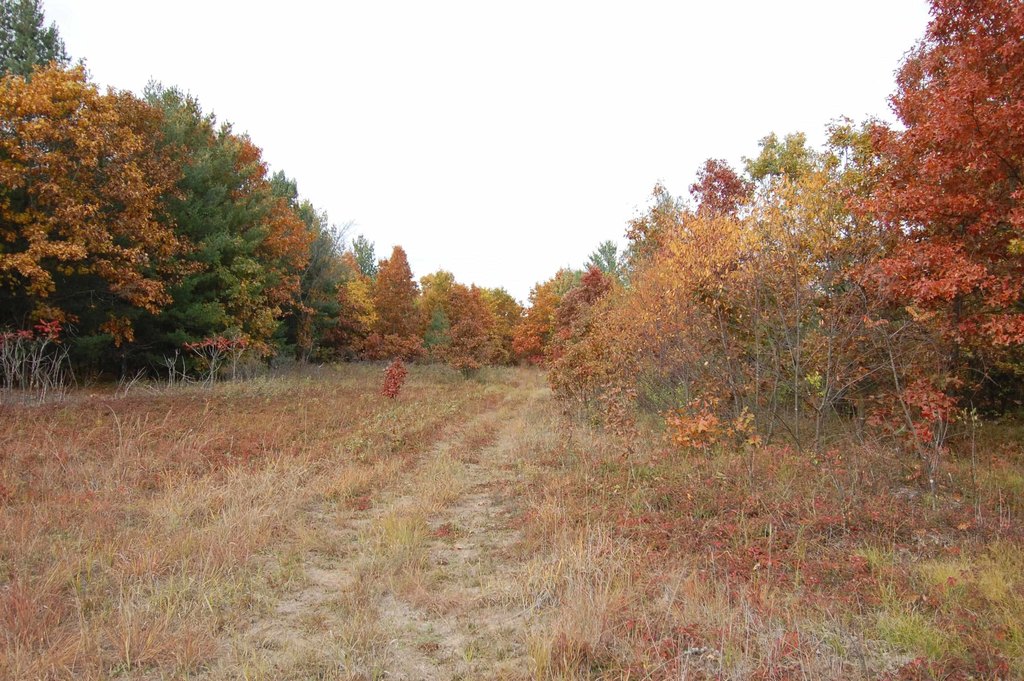 Picture 6