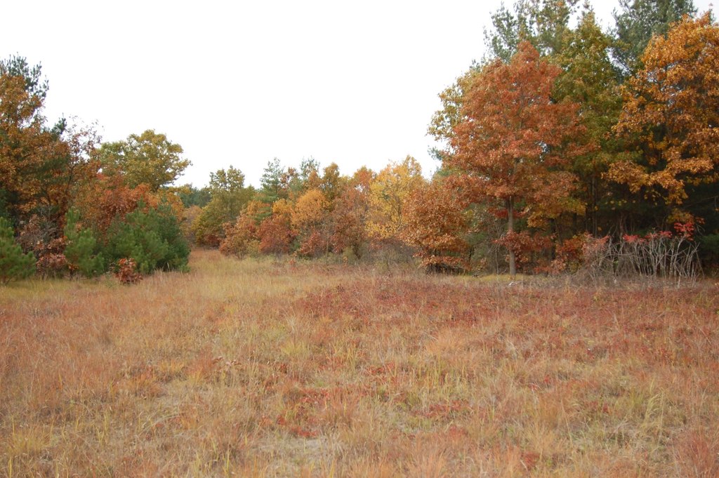 Picture 7