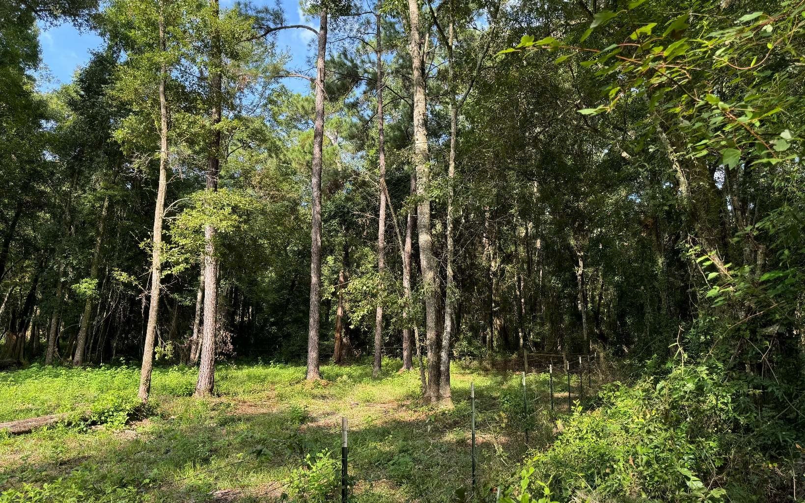 Vacant Land in Lake City, FL