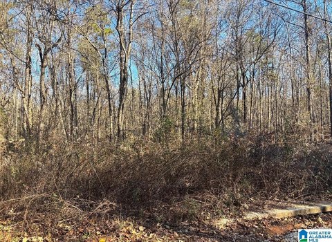 Half Acre Lot in Wilsonville