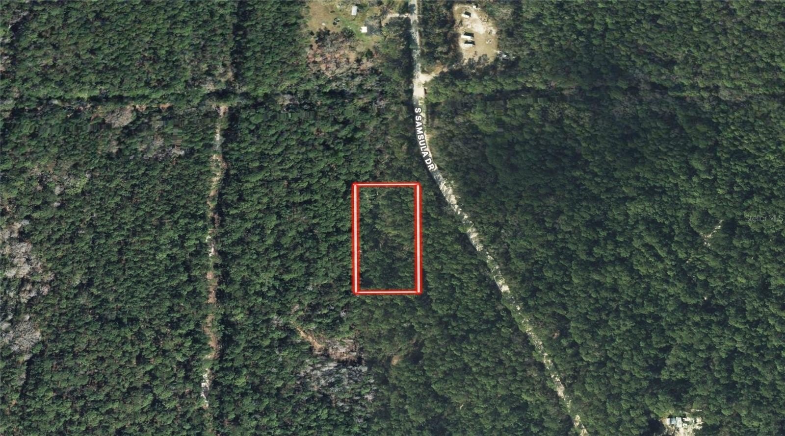 Vacant Land in Rural Samsula