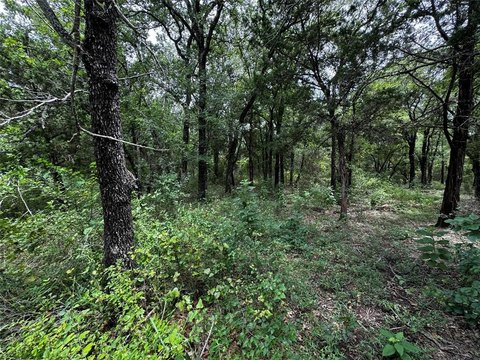 Wooded Lot in White Bluff