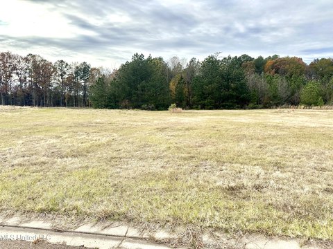 Commercial Lot in Pearl, MS