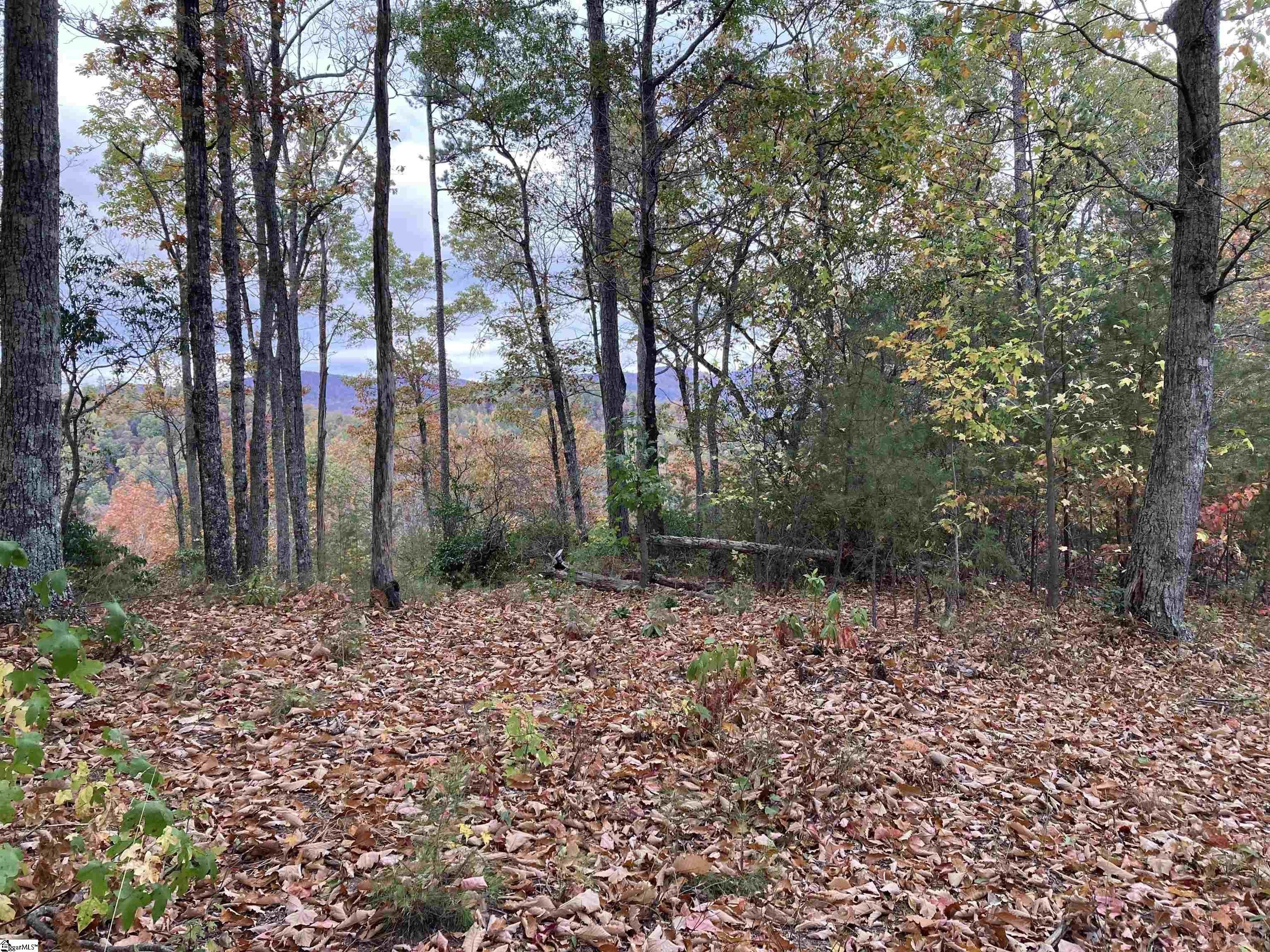 Mountain View Land in Marietta