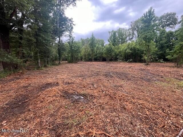 Raymond Commercial Acreage For Sale