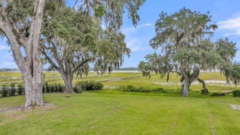 Land, Charleston, SC