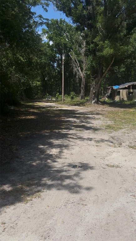 Picture 2
