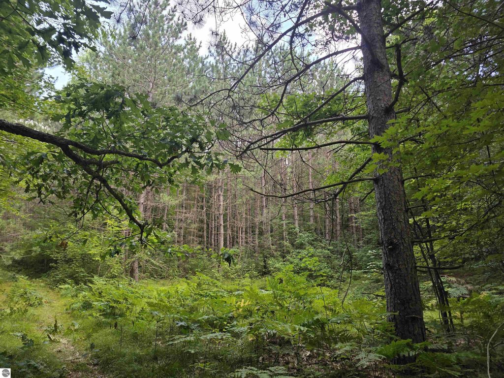 Picture 23