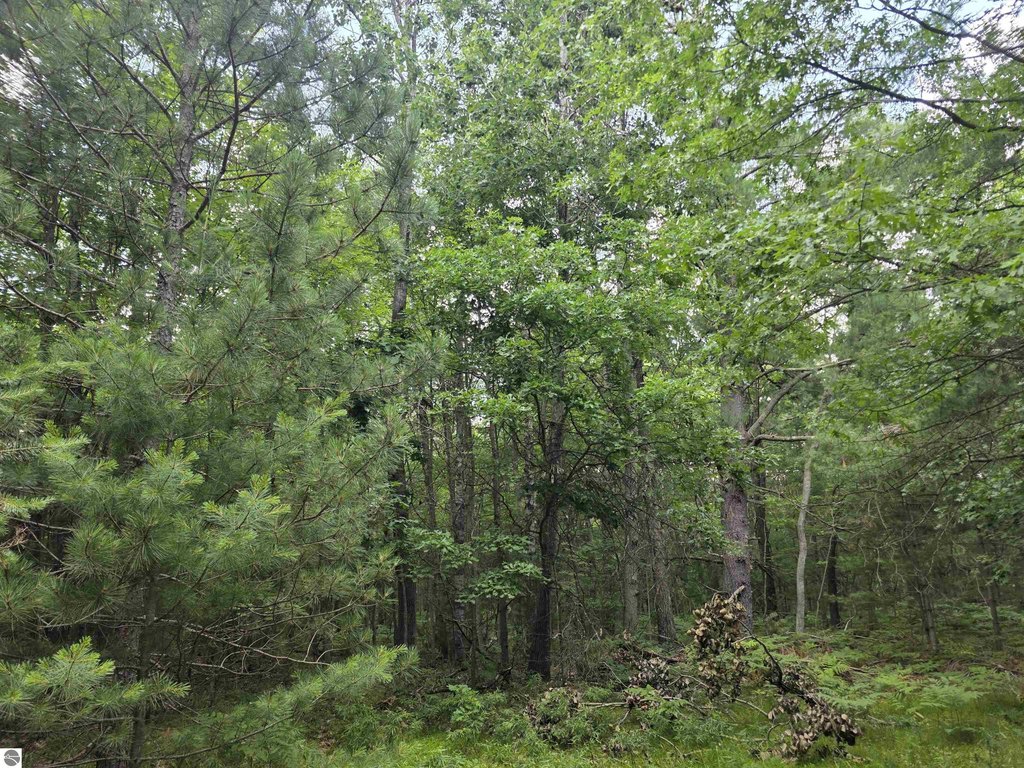 Picture 24