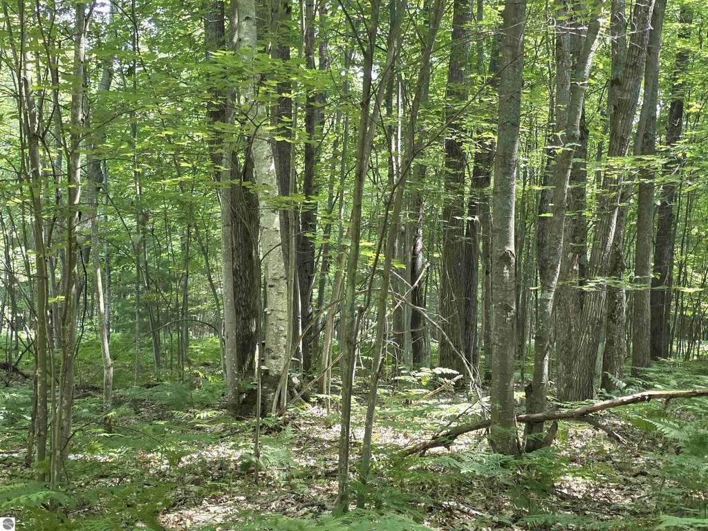 Picture 27