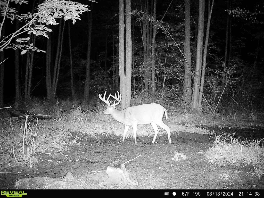 Picture 14