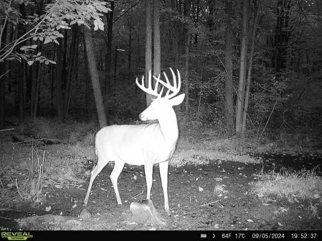 Picture 12