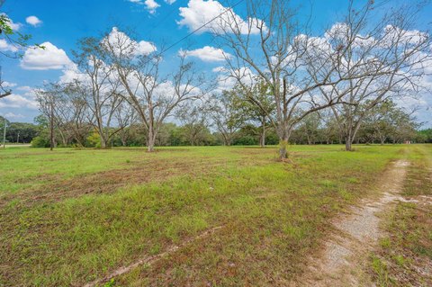 36 Acres with Pecan Orchard