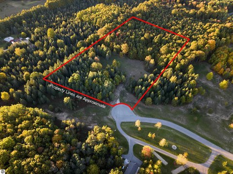 Vacant Lot/Land, Fife Lake, MI