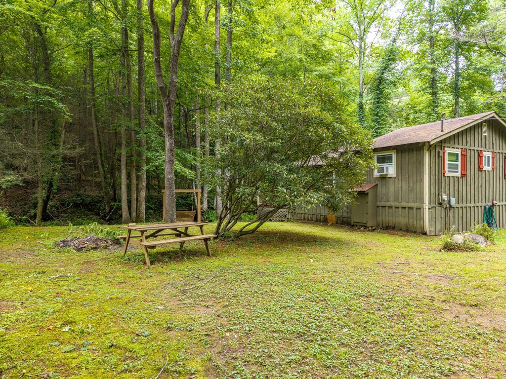 Picture 15