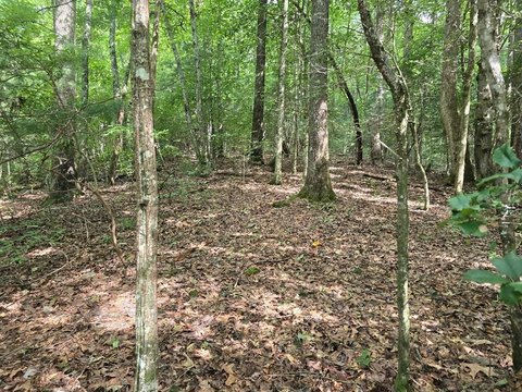 Acreage, Hiawassee, GA