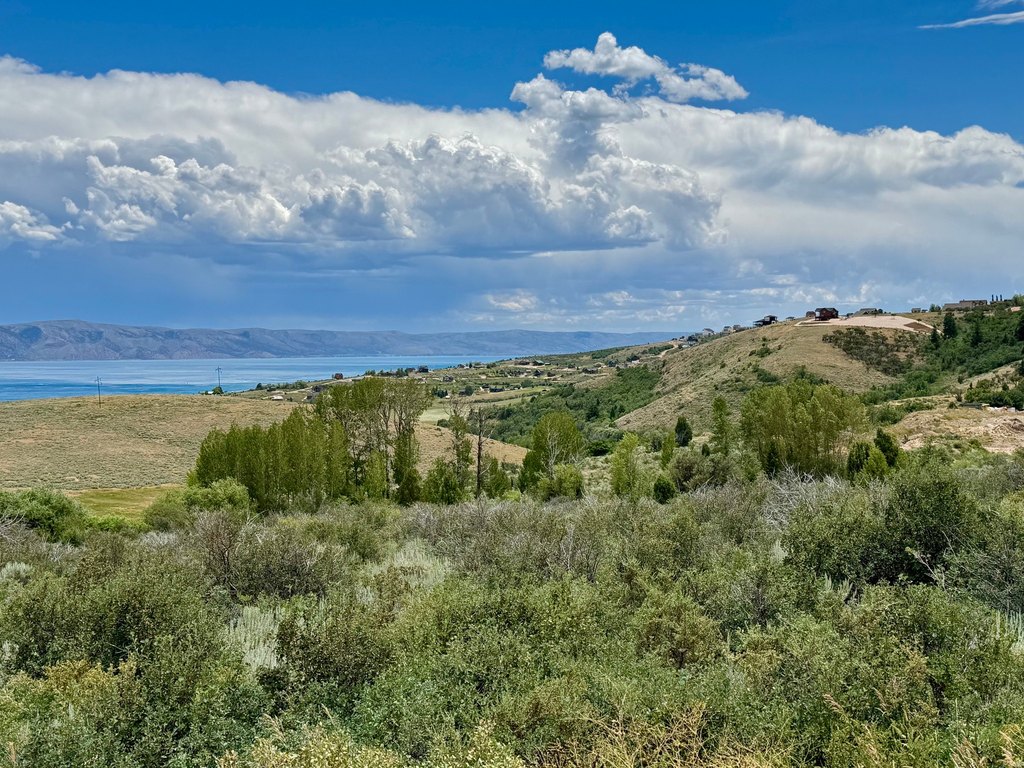 Picture 15