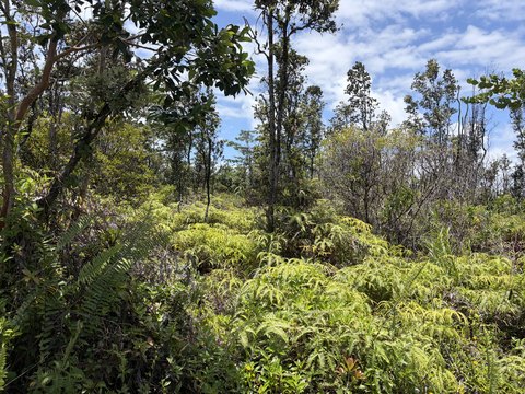 Buildable Acre Lot in Keaau