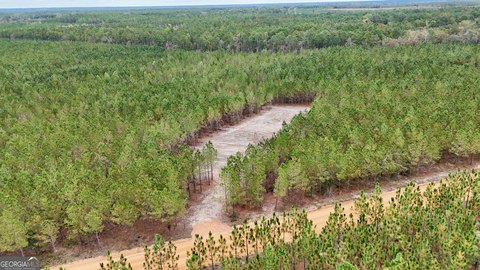 Appling County Land Near River